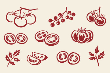 Naklejka premium Tomato set outline sketch vector illustration