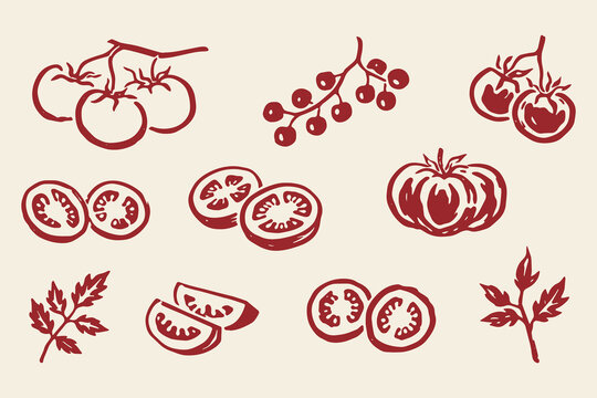 Tomato set outline sketch vector illustration