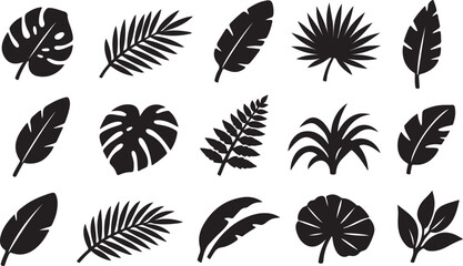 Tropical leaf collection icon set with exotic jungle plants, palm foliage, and botanical shapes. © MdMoziber