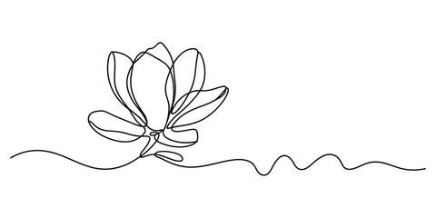 A single continuous line drawing of a blooming magnolia flower with elegant and simple curves © Monibala