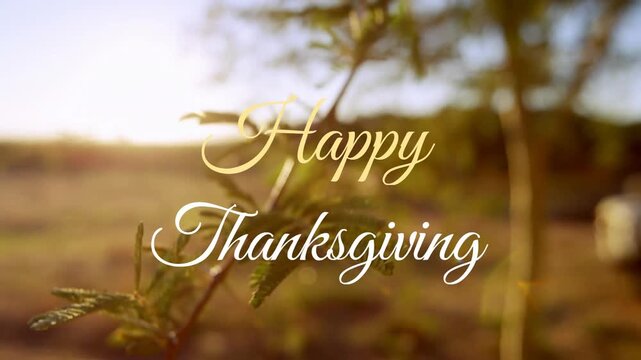Animation of happy thanksgiving text banner against close up of a branch with leaves in the forest