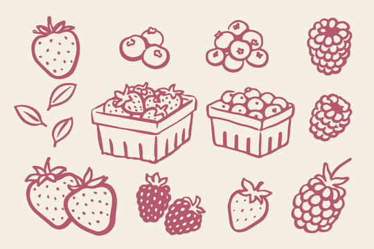 Berry set outline sketch vector illustration