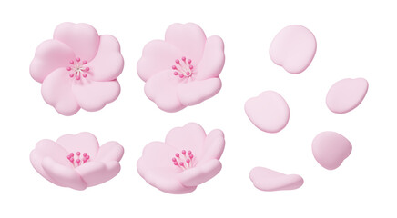 3D Sakura Cherry Blossom Flower Icon Set with Petals Isolated on Transparent Background, Pink Spring Floral Elements © susu