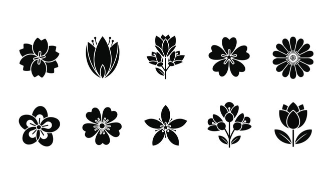 A collection of various flower illustrations showcasing different types and styles