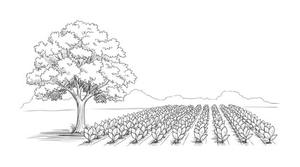 Hand drawn of a leafy tree beside rows of young plants in a field nature agriculture © Muskan