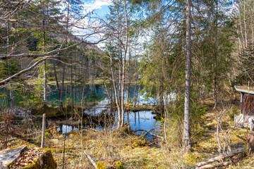Bäume und moosbedeckter Boden mit Wiesenflächen am Christlessee im Allgäu. © Tina Rabus