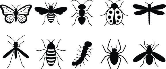 insect silhouettes set, butterfly bee ant ladybug dragonfly mosquito spider bug collection, nature wildlife icon illustration isolated © LatifunNahar