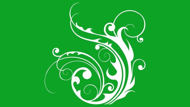 White floral flourish animation with growing vines on green screen background loop