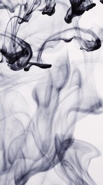 Multiple drops of black ink falling and beautifully dissolving in clear water, creating smoky patterns and wispy swirls isolated against a clean, bright white background
