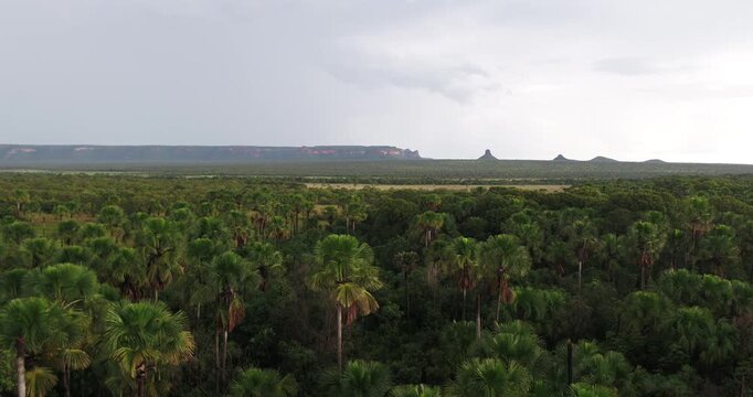 Terra Ronca
