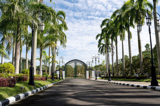 Symmetrical Asphalt Driveway Leading to Ornate Iron Gate Lined with Royal Palm Trees and Decorative Street Lamps under Blue Sky