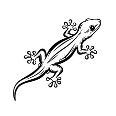 Obraz premium Gecko illustration in detailed line art style 