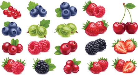 Fresh berry fruits vector collection. Strawberry, blueberry, raspberry, blackberry, cherry, gooseberry and currant set. Realistic juicy berries illustration. © HELEN QUEEN