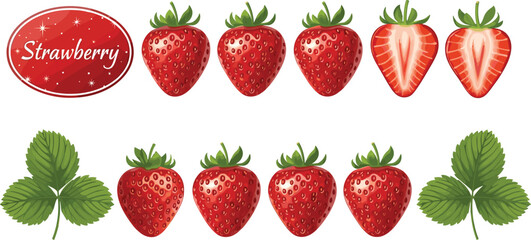 Strawberry fruit vector set with label. Fresh whole strawberries, sliced berries and leaves. Organic red berry elements for farm packaging, food branding and healthy product design. © HELEN QUEEN