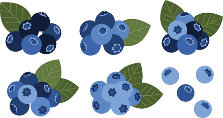 Blueberry fruit vector set. Fresh berry clusters with green leaves and single berries. Organic blueberry elements for healthy food design, farm packaging and natural product branding. © HELEN QUEEN