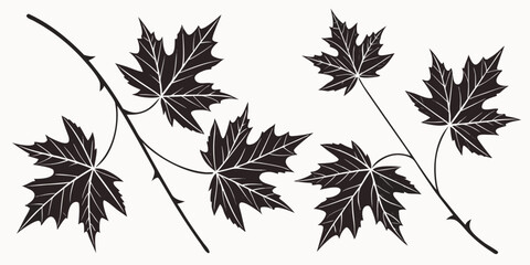 Black maple leaves on a branch © Graphicslover