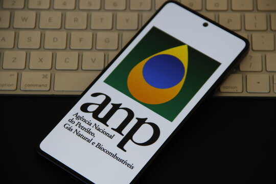 ANP - Ag&ecirc;ncia Nacional do Petr&oacute;leo, G&aacute;s Natural e Biocombust&iacute;veis - &Oacute;rg&atilde;o regulador federal brasileiro, vinculado ao Minist&eacute;rio de Minas e Energia, criado em 1998. 