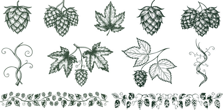 11-Piece Vintage Hop Vector Elements Kit, Engraved Botanical Bundle for Craft Beer Brewery Label and Packaging
