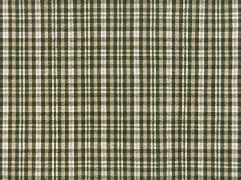 Close up of green fabric with tartan pattern. In green and white checkerboard pattern. Flannel or tartan style is very common in scarf, shirts, and fashion industry. Seamless background texture.
