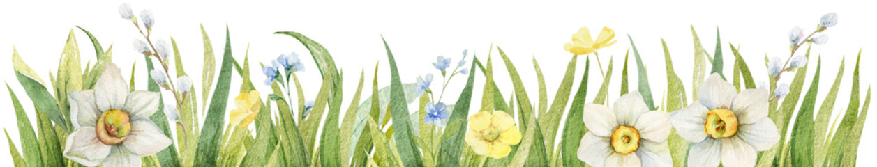 Fototapeta premium Watercolor floral banner with spring flowers and green grass. Design for cards, invitations, postcards, packaging, textiles. Hand drawn illustration.
