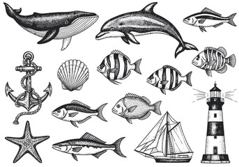Obraz premium Vintage Engraved Ocean Life and Nautical Elements Vector Set with Whale, Dolphin, Fish, Anchor, Lighthouse, and Seashell for Marine Design