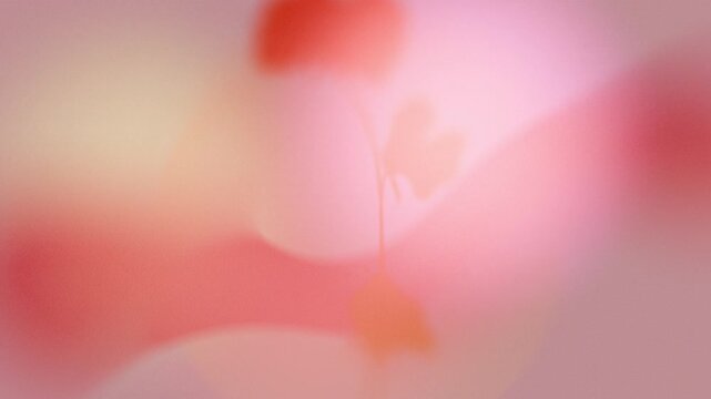 Seamless gra loop abstract backdrop with a soft gradient mix of pink, yellow, and red colors, enhanced by a fine grain noise texture. Suitable for digital art, presentations and web backgrounds