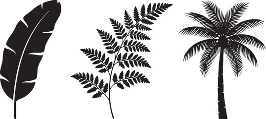 Silhouette illustrations of three tropical plants: banana leaf, fern, and palm tree © Nur