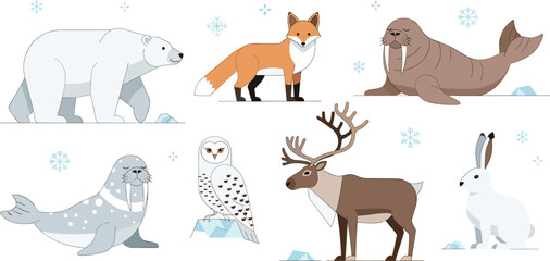 Set of arctic wildlife and winter animals, flat vector illustrations of polar bear, fox, walrus, reindeer and arctic hare isolated on white background © Firoz