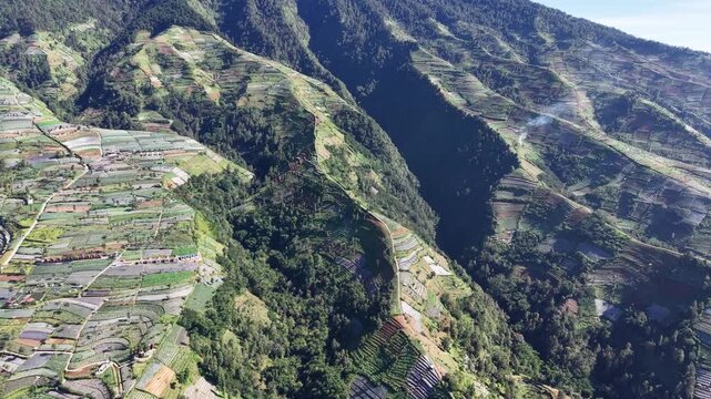 Aerial landscape of terraced farmland carved into steep mountain slopes near Magelang, Indonesia, showing patchwork crop fields, winding access roads and forested valleys under bright daylight