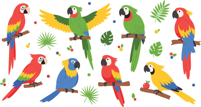 Set of colorful parrot and macaw characters, cartoon illustrations of tropical birds sitting on branches, exotic wildlife isolated on white background