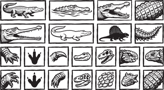 Detailed illustration features a variety of crocodiles and dinosaurs with close up of their heads, tails, and limbs. A black and white, detailed illustration of ancient creatures.