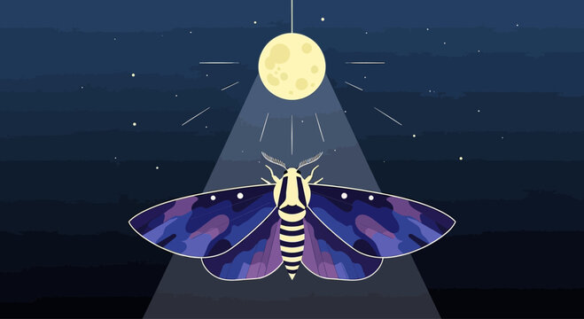 Mysterious Moth Under Moonlight, Night Sky with Stars, Vector Illustration