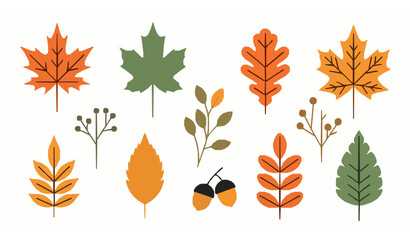 Autumn Foliage Flat Vector Set Stylized Fall Leaves and Nature Elements © Wahida