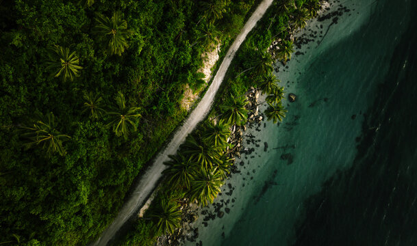 The Beach of Exotic Island in the Sunrise