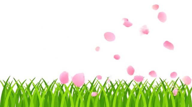 Sequence of frames showing pink flower petals falling over lush green grass, with background transitioning from white to black, illustrating motion and flow of petals in the breeze.