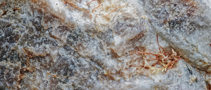 Macro image of analcime and aegirine with moss rhizoids from Blue Lakes Gorge area near Aykuayvenchorr Mt., Khibiny captured via microscope objective at 4&times; magnification with 9 mm field of view