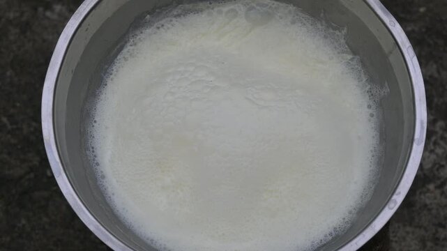 Fresh milk is boiling in a large stainless steel vessel. It has been placed over a traditional fire burning outdoors. As the milk heats up, foam begins to form along its edges. 