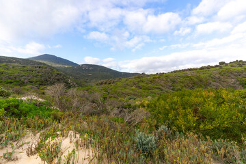 Fototapeta premium Beach of Whisky Bay at Wilsons Promontory National Park, Victoria, Australia.