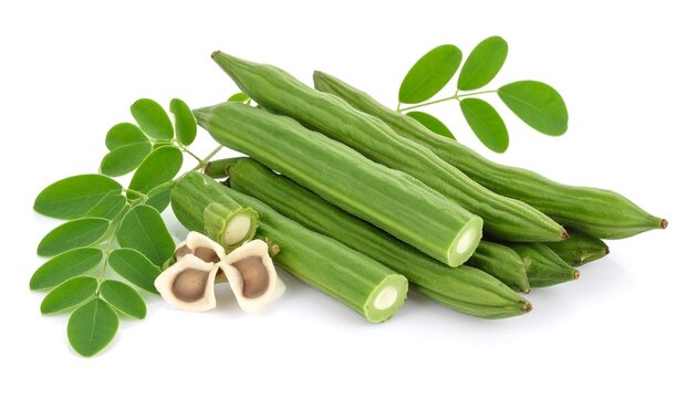 Pile of fresh green moringa pods