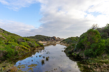 Fototapeta premium Beach of Whisky Bay at Wilsons Promontory National Park, Victoria, Australia.