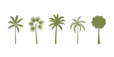 A collection of five distinct green tree silhouettes featuring various tropical palm tree species Vector © AZIFA