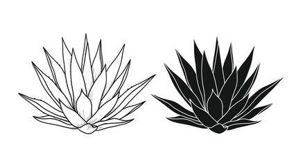A striking black and white illustration depicts two agave plants showcasing contrasting tones and sharp linear details high quality © Bsicon02
