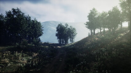 Fototapeta premium Morning light casts a gentle glow on a peaceful hillside. Verdant trees frame the scene as soft shadows dance across the grassy ground, inviting calm thoughts and quiet reflection.