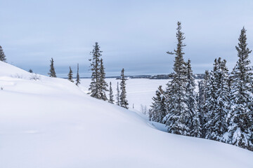 Fototapeta premium Winter scenery in Yellowknife, Canada