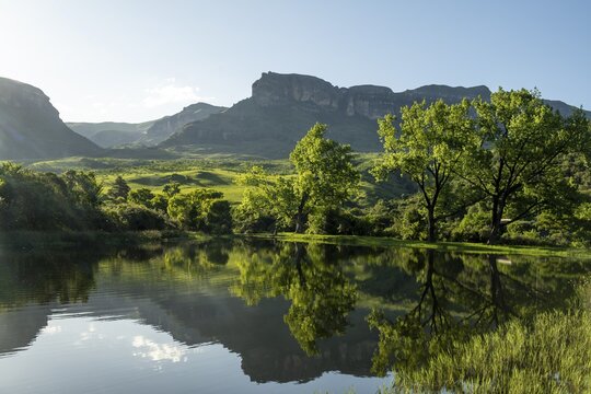 Amphitheatre with reflection in the lake, Royal Natal National Park, Drakensberg Mountains south, Kwa Zulu Natal, South Africa