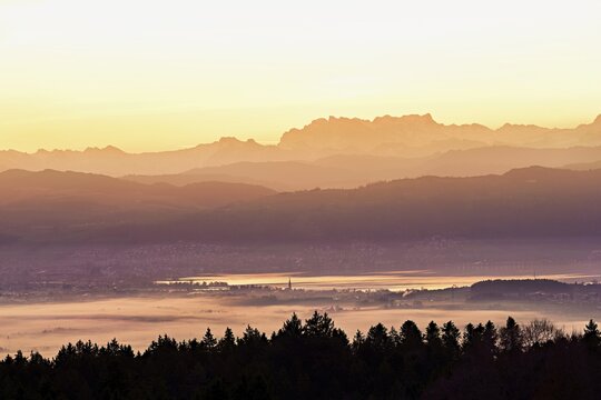 View from Horben of Lake Zug with the city of Cham and Zug covered in fog, behind it the snow-capped mountains Fl&uuml;brig and Vrenelisg&auml;rtli in the light of the rising sun, Beinwil-Freiamt, Canton, Aargau, Switzerland