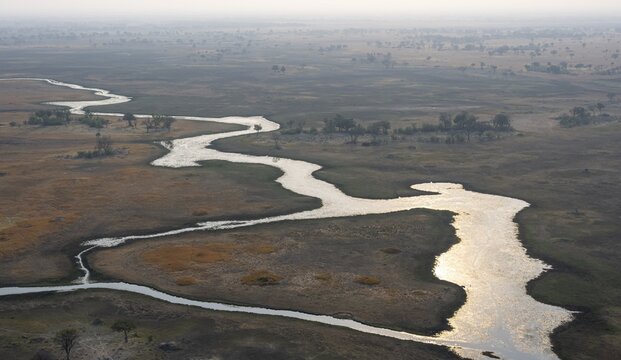 Wetland, landscape, aerial view of the Okavango Delta, near Maun, Okavango Delta, Botswana