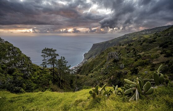 Evening mood, green coastal landscape at cliff, sea and coast, viewpoint Miradouro da Raposeira, Paul do Mar, Madeira, Portugal