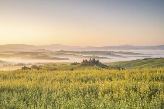 Podere Belvedere, country estate in hilly fields, morning atmosphere with early morning mist, San Quirico dOrcia, Val dOrcia, Tuscany, Italy