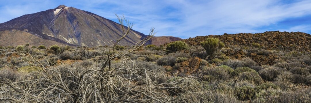 Pico de Teide, Tenerife National Park, World Heritage Site, Tenerife, Canary Islands, Spain